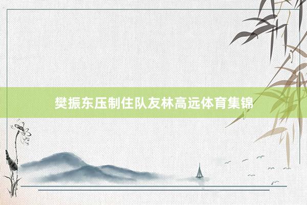 樊振东压制住队友林高远体育集锦