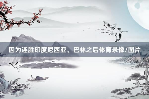 因为连胜印度尼西亚、巴林之后体育录像/图片