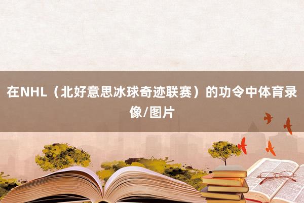 在NHL(北好意思冰球奇迹联赛)的功令中体育录像/图片