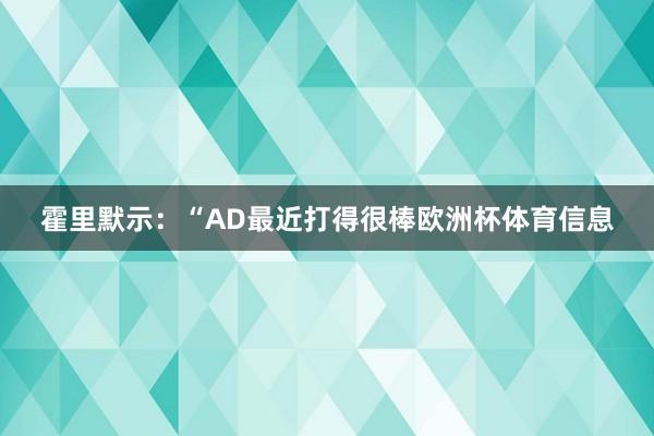 霍里默示：“AD最近打得很棒欧洲杯体育信息