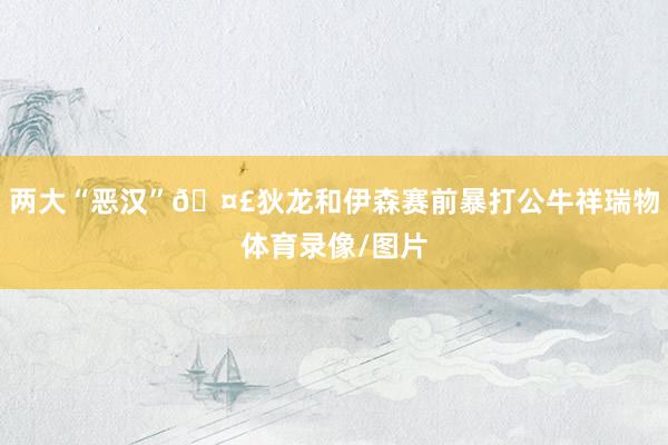 两大“恶汉”🤣狄龙和伊森赛前暴打公牛祥瑞物体育录像/图片