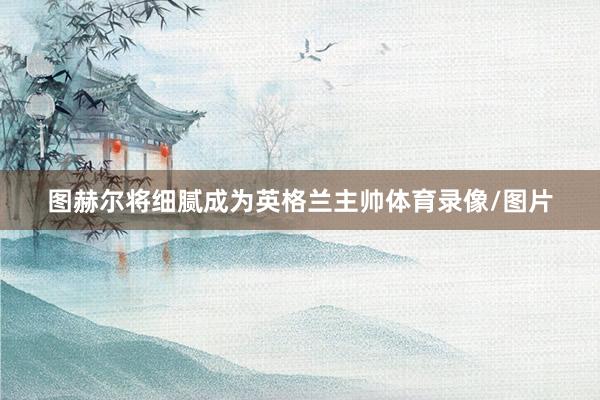 图赫尔将细腻成为英格兰主帅体育录像/图片