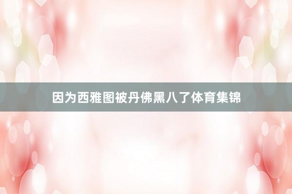 因为西雅图被丹佛黑八了体育集锦