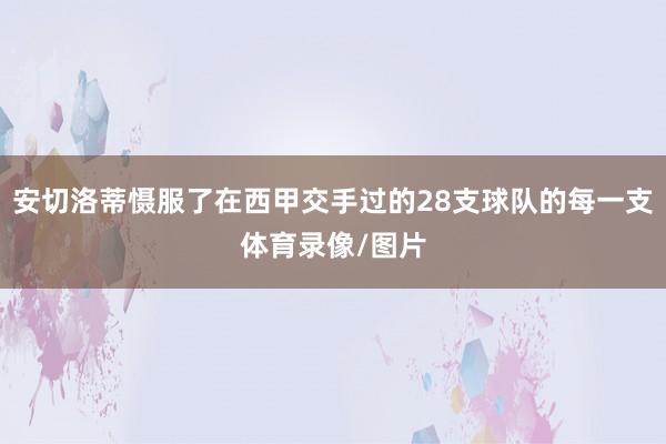 安切洛蒂慑服了在西甲交手过的28支球队的每一支体育录像/图片