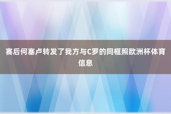 赛后何塞卢转发了我方与C罗的同框照欧洲杯体育信息