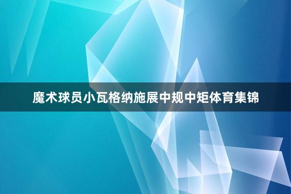 魔术球员小瓦格纳施展中规中矩体育集锦