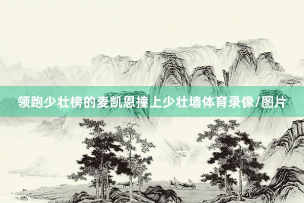 领跑少壮榜的麦凯恩撞上少壮墙体育录像/图片
