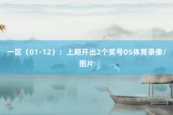 一区（01-12）：上期开出2个奖号05体育录像/图片