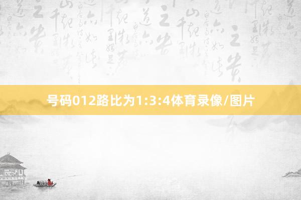 号码012路比为1:3:4体育录像/图片