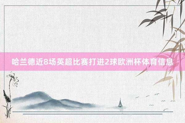 哈兰德近8场英超比赛打进2球欧洲杯体育信息