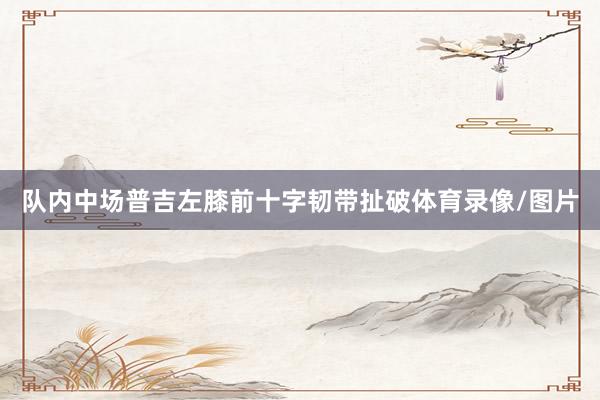 队内中场普吉左膝前十字韧带扯破体育录像/图片
