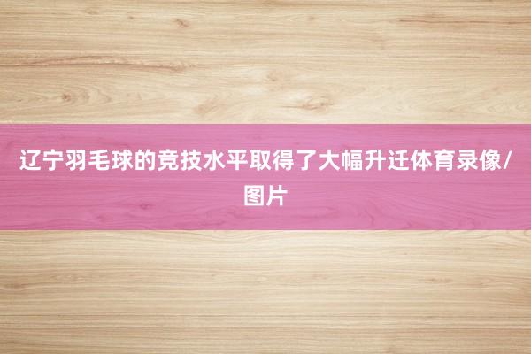 辽宁羽毛球的竞技水平取得了大幅升迁体育录像/图片