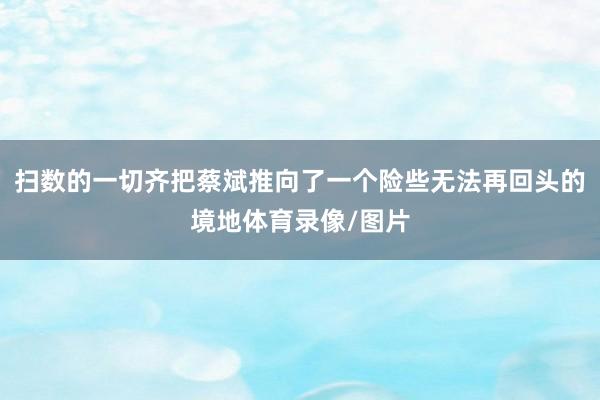 扫数的一切齐把蔡斌推向了一个险些无法再回头的境地体育录像/图片