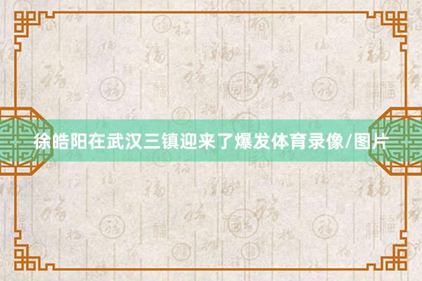 徐皓阳在武汉三镇迎来了爆发体育录像/图片