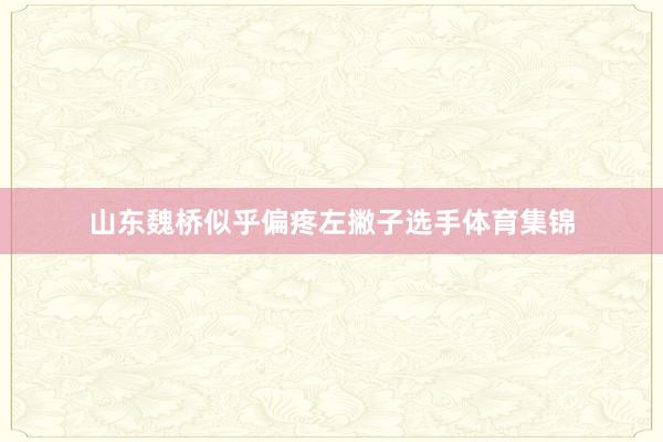 山东魏桥似乎偏疼左撇子选手体育集锦