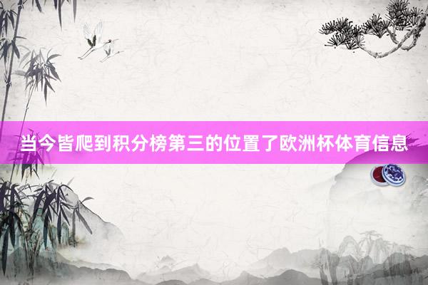 当今皆爬到积分榜第三的位置了欧洲杯体育信息