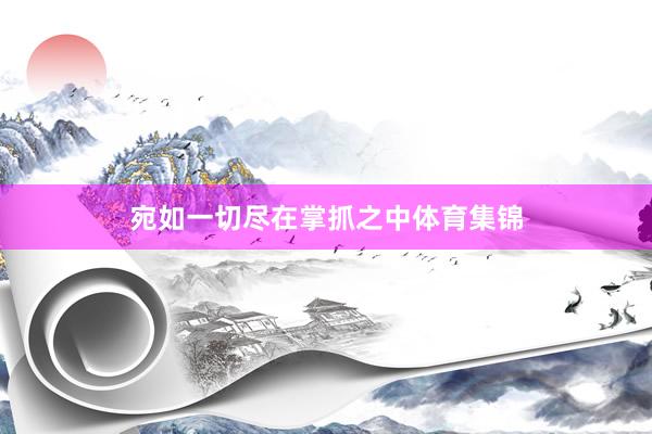 宛如一切尽在掌抓之中体育集锦