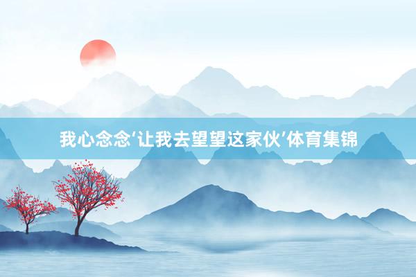 我心念念‘让我去望望这家伙’体育集锦