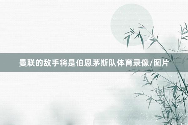 曼联的敌手将是伯恩茅斯队体育录像/图片