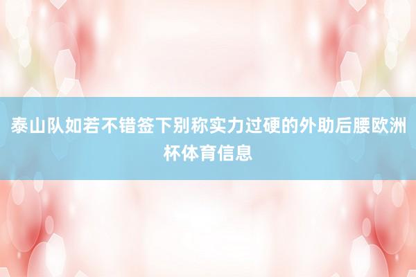 泰山队如若不错签下别称实力过硬的外助后腰欧洲杯体育信息