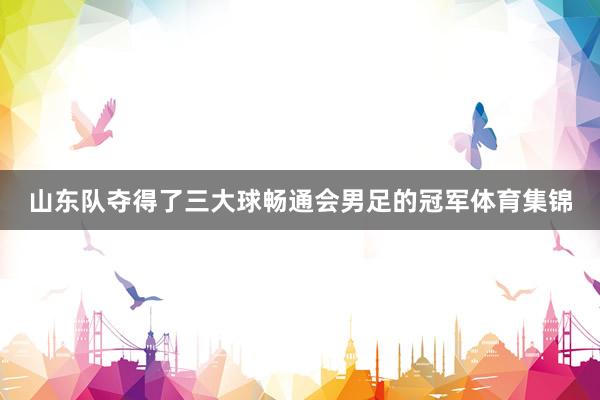 山东队夺得了三大球畅通会男足的冠军体育集锦
