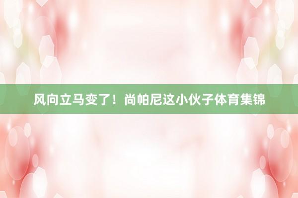 风向立马变了！尚帕尼这小伙子体育集锦