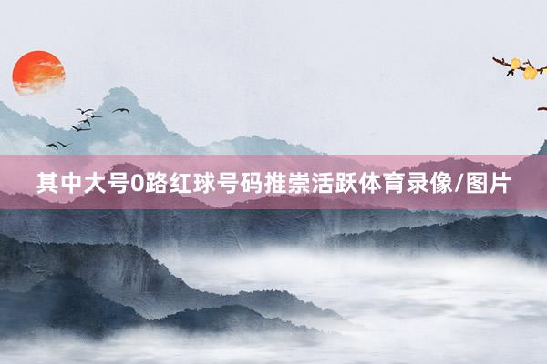 其中大号0路红球号码推崇活跃体育录像/图片