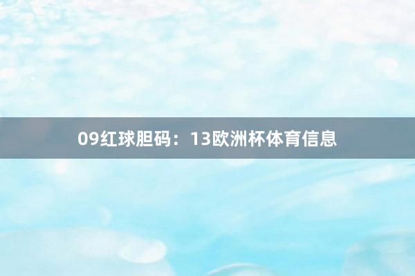 09　　红球胆码：13欧洲杯体育信息