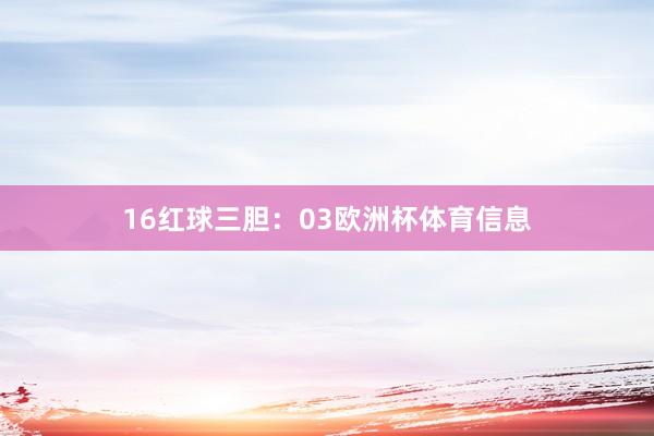 16　　红球三胆：03欧洲杯体育信息