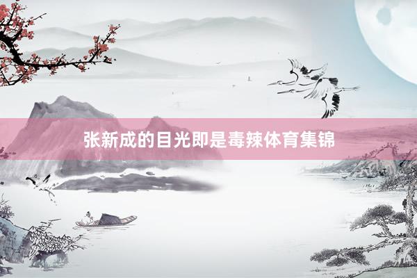 张新成的目光即是毒辣体育集锦