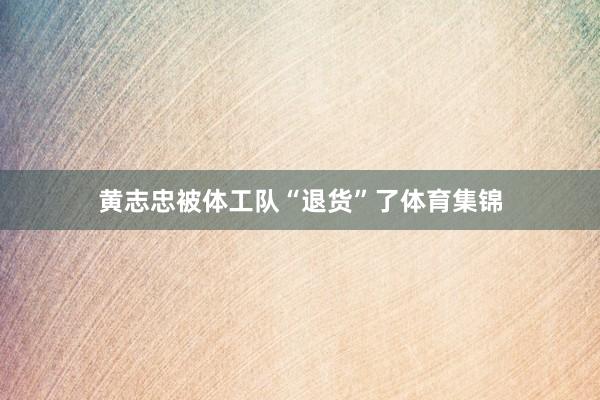 黄志忠被体工队“退货”了体育集锦