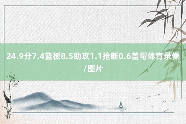 24.9分7.4篮板8.5助攻1.1抢断0.6盖帽体育录像/图片