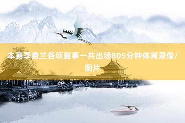本赛季费兰各项赛事一共出场805分钟体育录像/图片