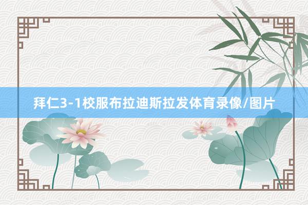 拜仁3-1校服布拉迪斯拉发体育录像/图片