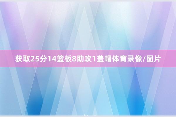 获取25分14篮板8助攻1盖帽体育录像/图片