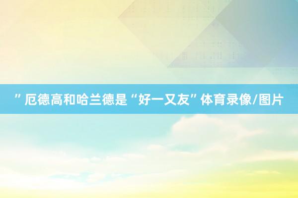 ”厄德高和哈兰德是“好一又友”体育录像/图片