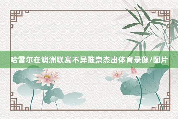 哈雷尔在澳洲联赛不异推崇杰出体育录像/图片