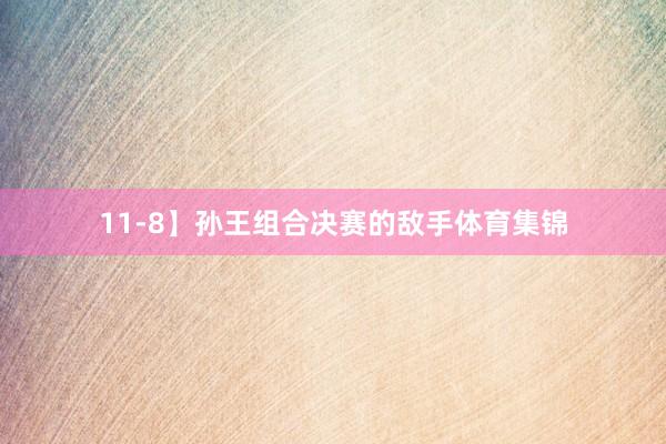 11-8】孙王组合决赛的敌手体育集锦