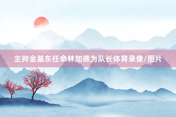 主帅金基东任命林加德为队长体育录像/图片