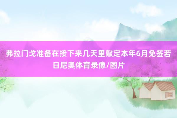 弗拉门戈准备在接下来几天里敲定本年6月免签若日尼奥体育录像/图片