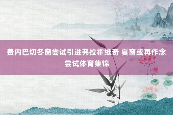 费内巴切冬窗尝试引进弗拉霍维奇 夏窗或再作念尝试体育集锦