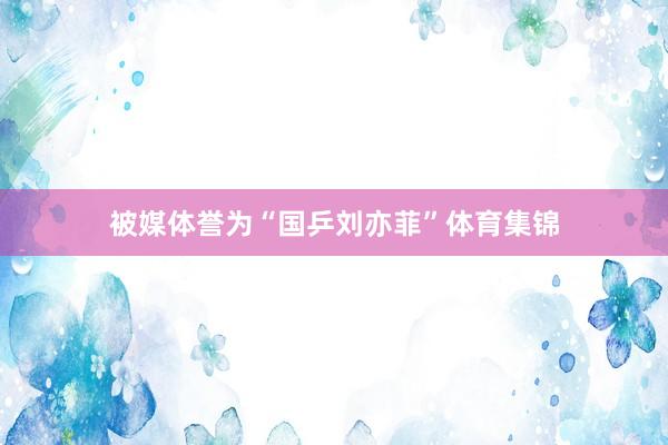 被媒体誉为“国乒刘亦菲”体育集锦