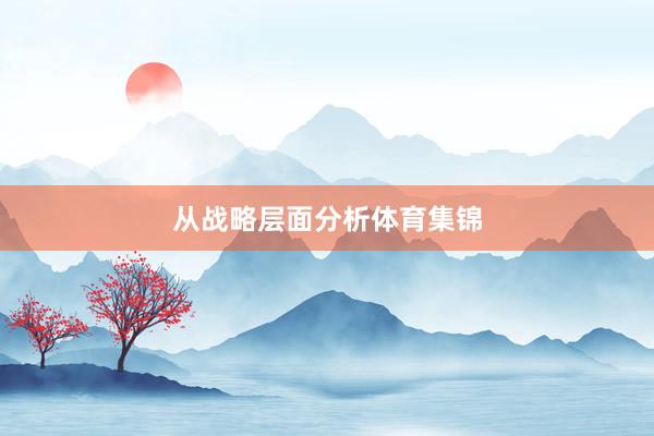 从战略层面分析体育集锦
