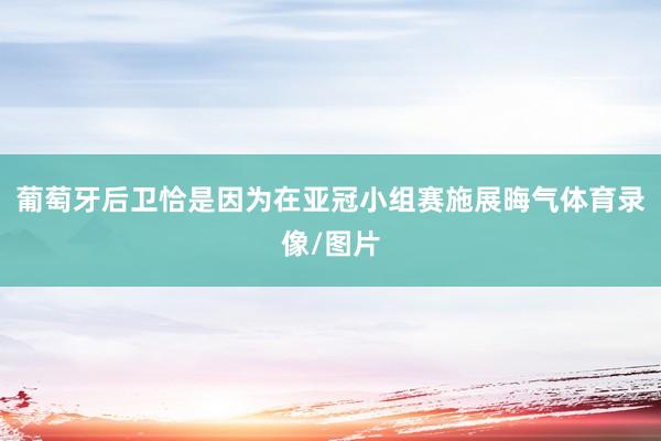 葡萄牙后卫恰是因为在亚冠小组赛施展晦气体育录像/图片