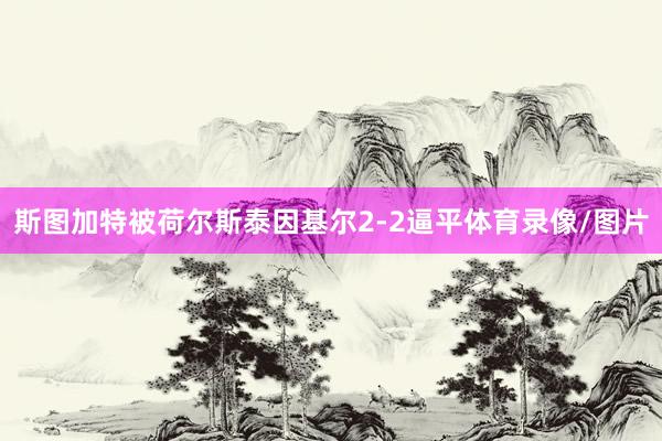 斯图加特被荷尔斯泰因基尔2-2逼平体育录像/图片