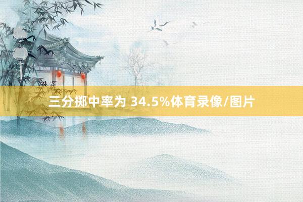 三分掷中率为 34.5%体育录像/图片