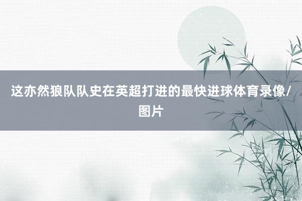 这亦然狼队队史在英超打进的最快进球体育录像/图片