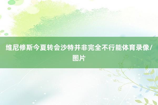 维尼修斯今夏转会沙特并非完全不行能体育录像/图片