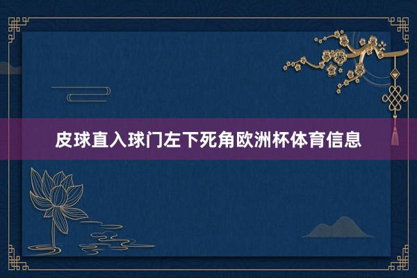 皮球直入球门左下死角欧洲杯体育信息