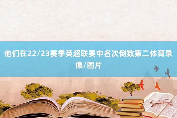 他们在22/23赛季英超联赛中名次倒数第二体育录像/图片